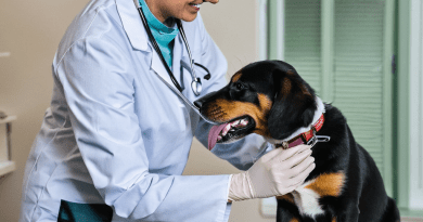 dog and a doctor